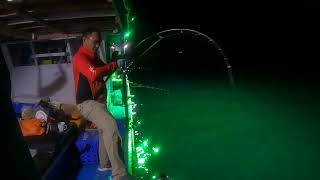 Non stop dogtooth vs daiwa certate 8000H plus Ripple Fisher Selfish Ns 623 ( doggie won )