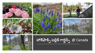 హాలిఫాక్స్ పబ్లిక్ గార్డెన్స్ 🇨🇦| Halifax | Nova Scotia #canada #halifax #india #telugu #vlogs