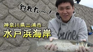 水戸浜海岸フィッシング【魚種が豊富です♪】