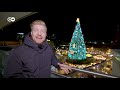 climbing the world’s tallest “natural” christmas tree in dortmund quirky customs