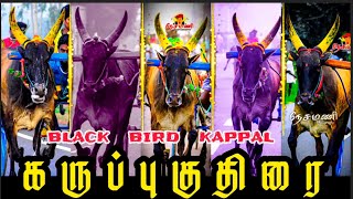 ||BLACK BIRD KAPPAL||#கருப்புகுதிரை#KSPகணபதி#reckla@_kaalaiyan_Editz😈