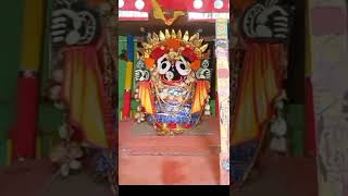 sunabesha of mahaprabhu Jagannath 🙏