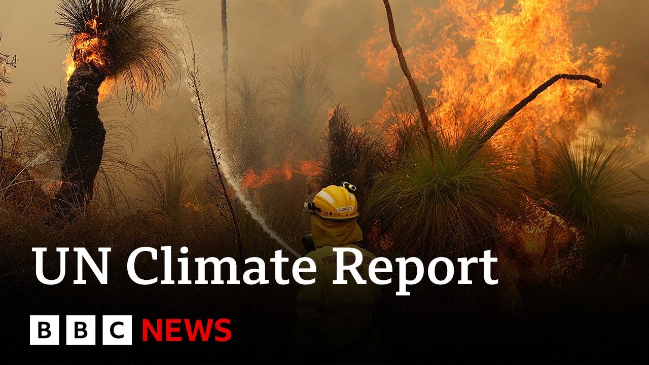 UN Climate Report: Scientists Release ‘survival Guide’ To Avert Climate ...