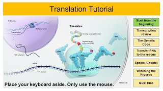 Translation Tutorial (free preview)