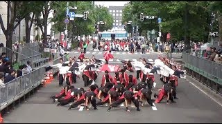 弘前大学HIRODAI焔舞陣 札幌YOSAKOIソーラン祭り2018.6.10 大通りパレード北コース