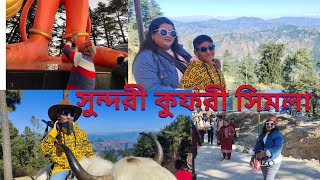 Shimla tourist place।। Kufri Vally।। Jaku Temple।। Apple Garden।। Tour plan।। 25 October।। Ep 3।। 💝