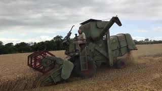 Claas Mercury cutting Skyfall winter wheat in Northumberland