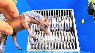 Shredding Machine Vs Toy Horses