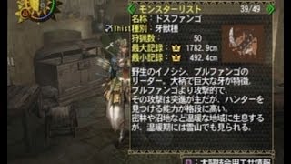 MH2 小ネタ 特大ドスファンゴ(サイズ記録だけ)