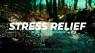 The Best Sleep Music for Stress Relief  • Deep Sleeping Music, Relaxing Music, Meditation Music 🌊