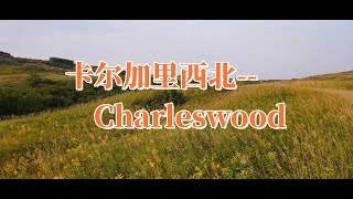 卡尔加里西北的优质社区-Charleswood