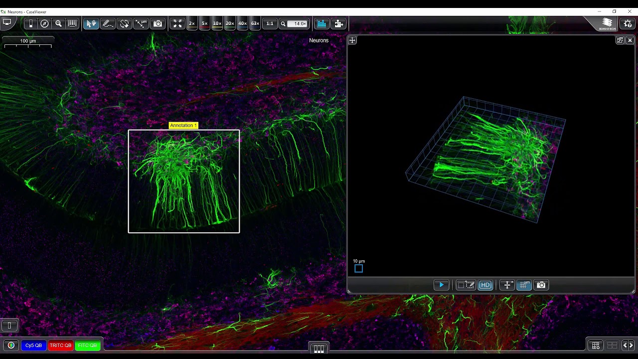 3dhistech 3dpeek In Slideviewer Youtube