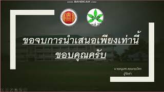 ตัวอย่างการนำเสนอหลังฝึกงาน