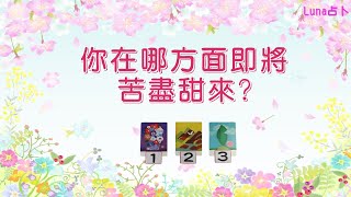 ★Luna占卜★ │ 你在哪方面即將苦盡甜來 ? │ 塔羅 │ Timeless Reading (無時間限制)