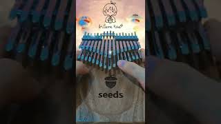 34 keys seeds chromatic kalimba short cover