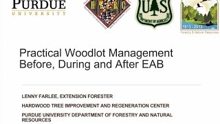 Practical Woodlot Management Before, During and After EAB