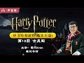 评书哈利波特·魔法石ep13 用听的方式重新打开《哈利波特》 评书式，非有声朗读 睡前助眠，路上听书，听故事学中文，欢迎加入 评书 哈利波特 睡前故事 路上听书 听故事学中文 助眠故事