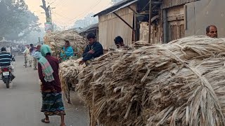 ১৬ নভেম্বর কৃষকের মাথায় হাট পাট নিয়ে। জোনাইল বাজার বড়াইগ্রাম থানা নাটোর।