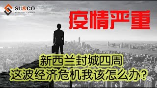 1/3 这波经济危机我该怎么做？- Part 1 开源篇