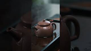 你也喜歡紫砂壺嗎 #茶器 #tea #紫砂