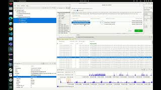 Applying Time Offset in Eclipse Trace Compass