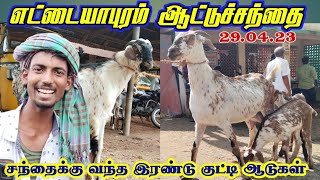 Ettayapuram Saturday goatmarket | தரமான இரண்டு குட்டி ஆடுகள் | வளர்ப்பு குட்டிகள்.