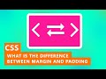 Difference Between Padding and Margin in CSS | Quick Tutorial