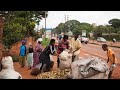 Ugandans turning banana wastes into useful fibres