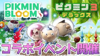 【ピクミンブルーム】１周年イベント第三弾！ピクミン３デラックスコラボイベント開催！特別なプレゼントもあるよ！【PIKMIN BLOOM】