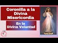 Coronilla a la Divina Misericordia en la Divina Voluntad. Misión Ruah. Padre Claudio Barbut.