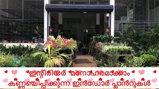 One Stop For All Your Garden Needs || JOYS GARDEN || Part-1