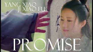 Yang Xiao \u0026 Xiao Fu--Promise FMV