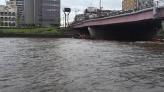 2016/06/29　熊本地方大雨　白川