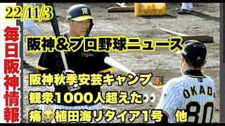 【毎日阪神＆プロ野球ニュース】22/11/3 阪神秋季安芸キャンプ観衆1000人超えた！植田海がリタイア1号😢オリックス日本一パレードに30万人　他＃阪神タイガース  #プロ野球ニュース　＃毎日阪神