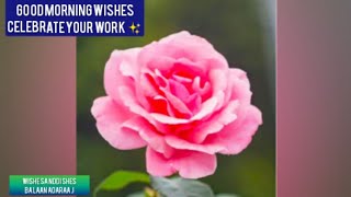 GOOD MORNING GREETING /DAILY WISHES DAILY QUOTES/ இனிய காலை வணக்கம் GOOD MORNING /Wishes and Dishes