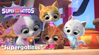 Supergatitos | Cancion de apertura | Video musical 🎶 | Disney