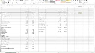 Calculating Return on Equity (ROE) in Excel