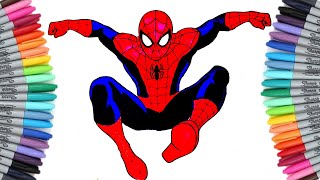 SPIDERMAN #14 Coloring Pages | AVENGERS | How to Color Spiderman | Coloring for Kids |