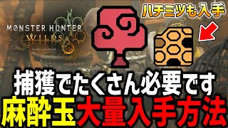 【連続採集の小技】捕獲に必要な『捕獲用麻酔玉』や回復Gになる『ハチミツ』を大量に集める方法を解説！！！【MHWs/モンハンワイルズ】