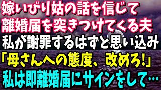 【スカッと】嫁いびり姑の話を信じて離婚届を突きつけてくる夫。私が謝罪すると思い込み「母さんへの態度、改めろ！」私は早速離婚届にサインをして夫に突きつけてやると…