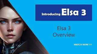 ElsaWorkflows v3.0 At A Glance