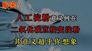 人工淀粉意义何在？二氧化碳直接变淀粉，其意义超乎你想象！