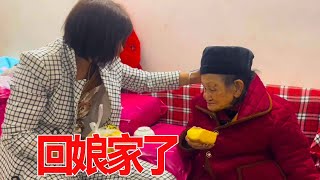 大姐今天带着儿子回家娘家了，老祖婆笑得合不拢嘴有空常回家看看【乡村大姐】