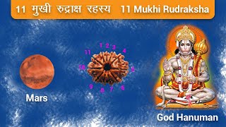 11 mukhi rudraksha benefits | 11 मुखी रुद्राक्ष के फायदे