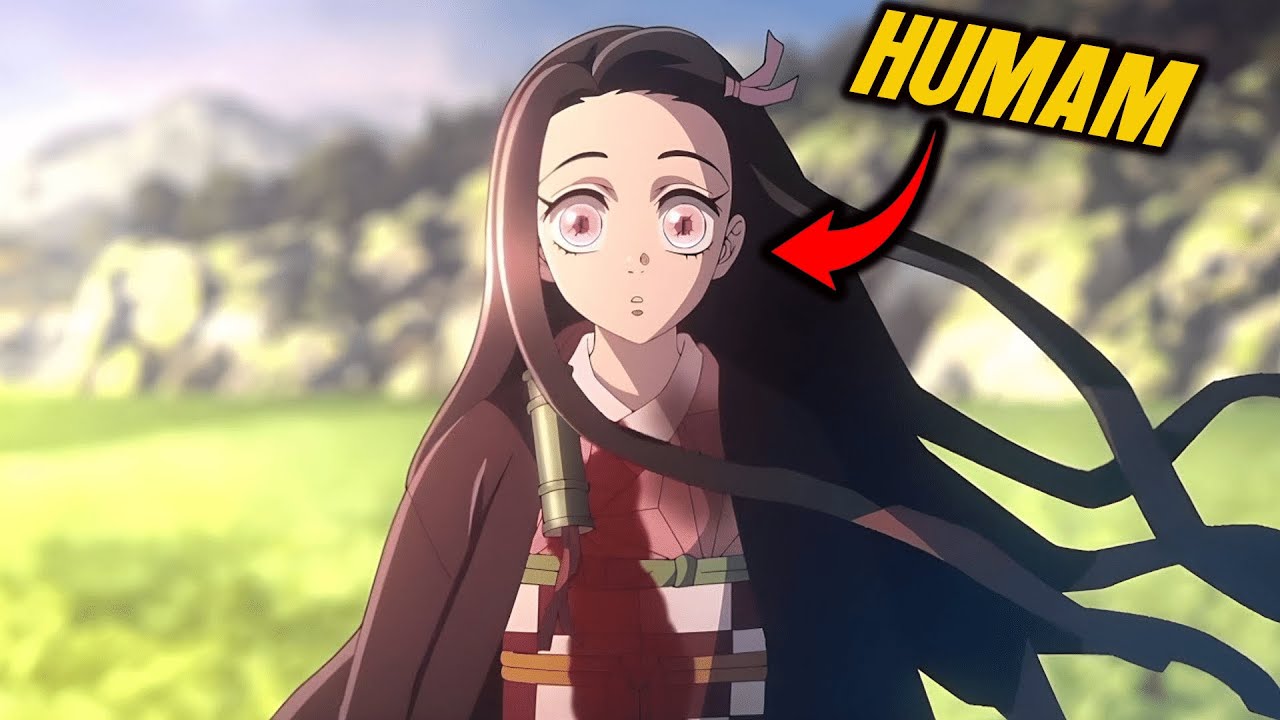 Demon Slayer Why Can Nezuko Go In The Sun How Did Nezuko Conquer The