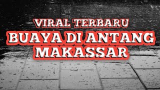 Asal Usul Buaya di Panggil Nenek - Viral Antang Makassar