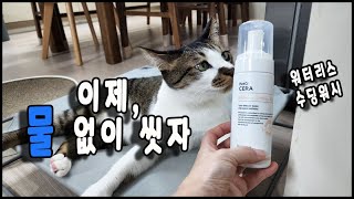 물 없이 씻는 고양이 목욕 브리지테일 페토세라 워터리스 수딩워시(with몽글러브). The waterless soothing wash for pet/토토네토스트