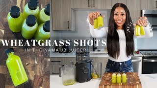 Nama J3 Wheat Grass Shots for Brain Health, Gut Health, and More 💚🌱 | Juice Shots + Wellness