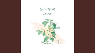 Mr. Spring (봄이라서 발매함)