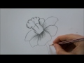 How To Draw a Flower step by step In 6 Minutes!